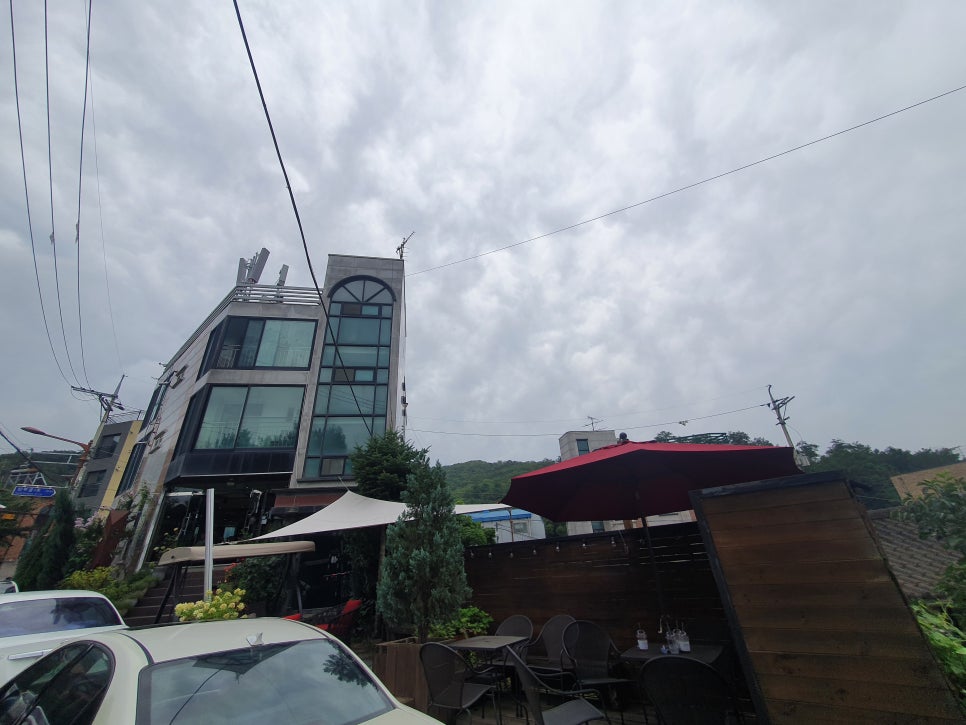 아라비카 커피