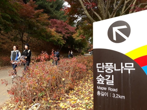 장소 이미지