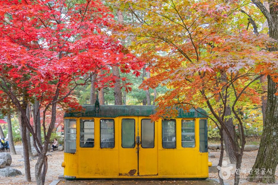 장소 이미지