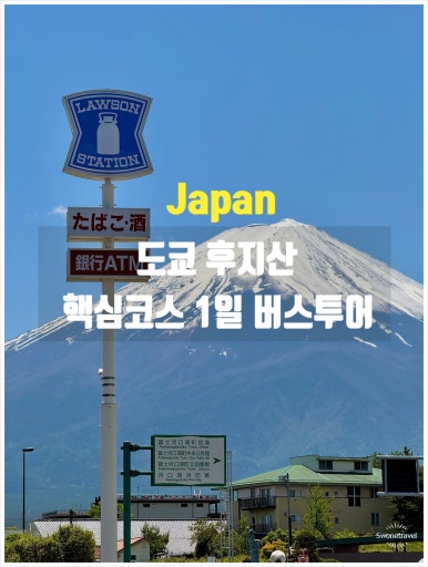 갤러리 사진 19