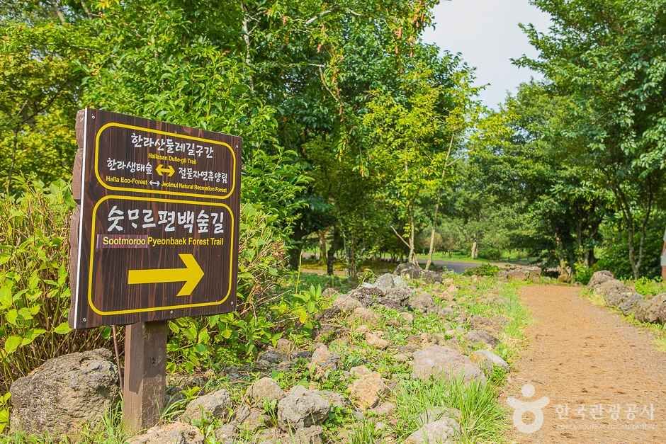 갤러리 사진 6