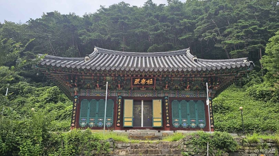 갤러리 사진 5