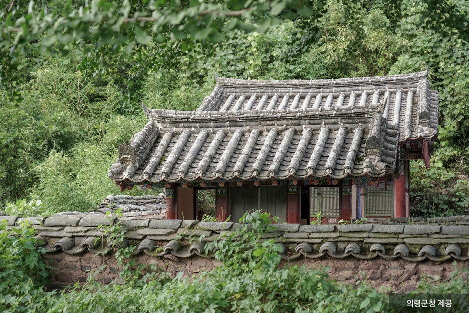 갤러리 사진 6