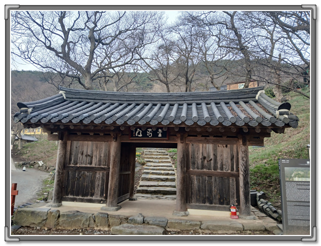 갤러리 사진 6