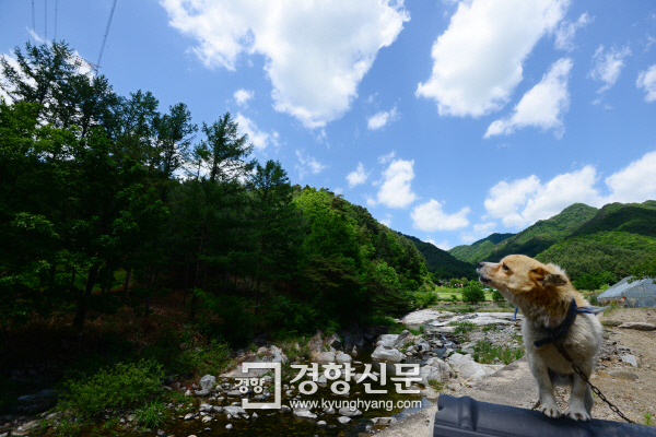 갤러리 사진 4