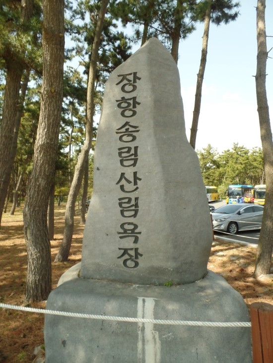 장소 이미지