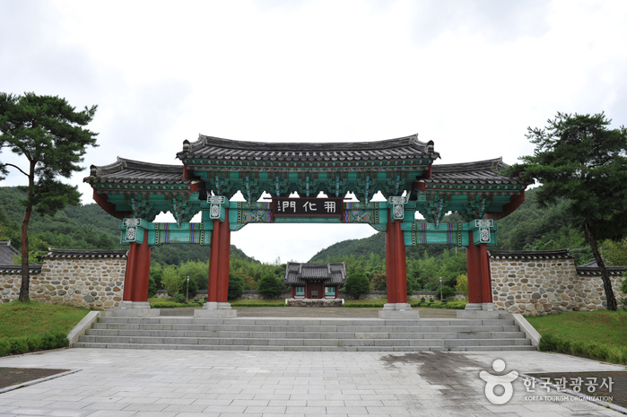갤러리 사진 34
