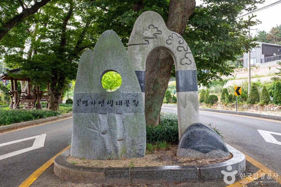 호미곶 해안단구 (경북 동해안 국가지질공원)