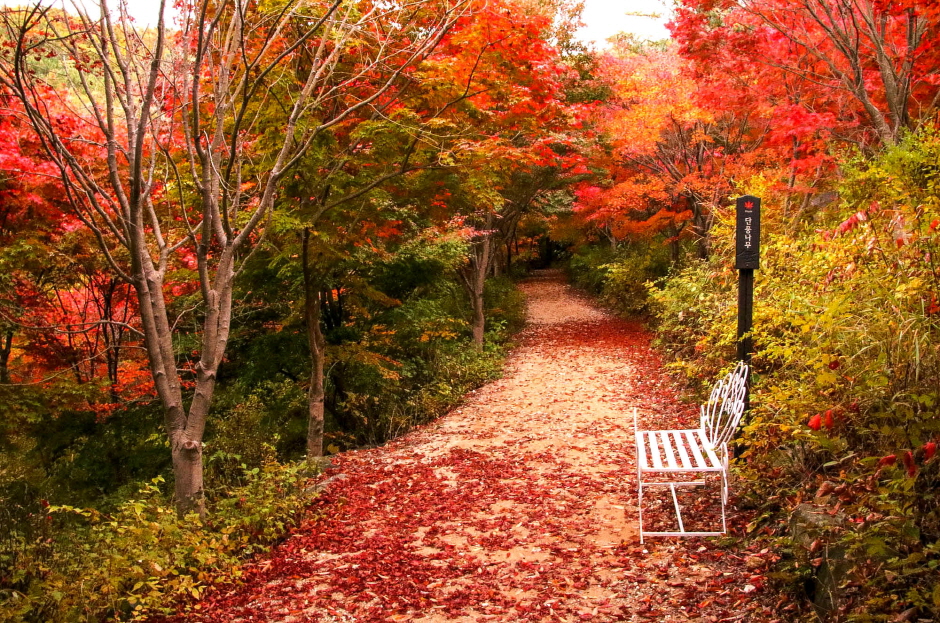 장소 이미지