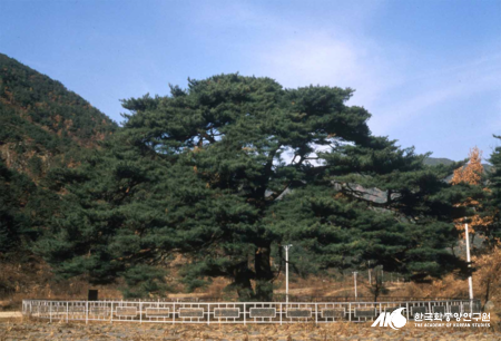 장소 이미지