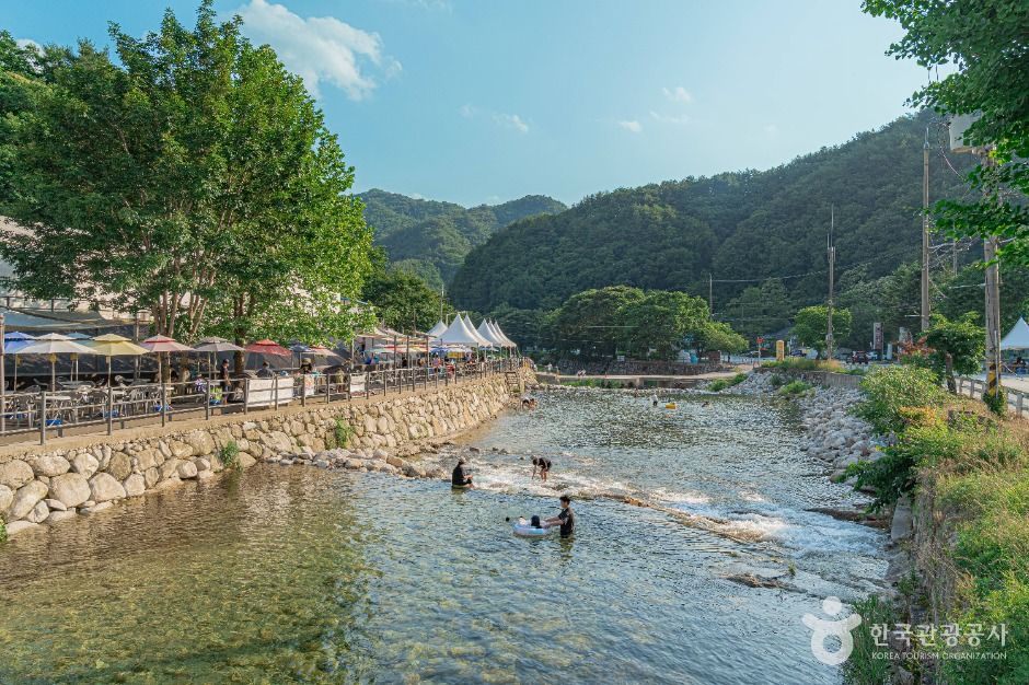 갤러리 사진 11