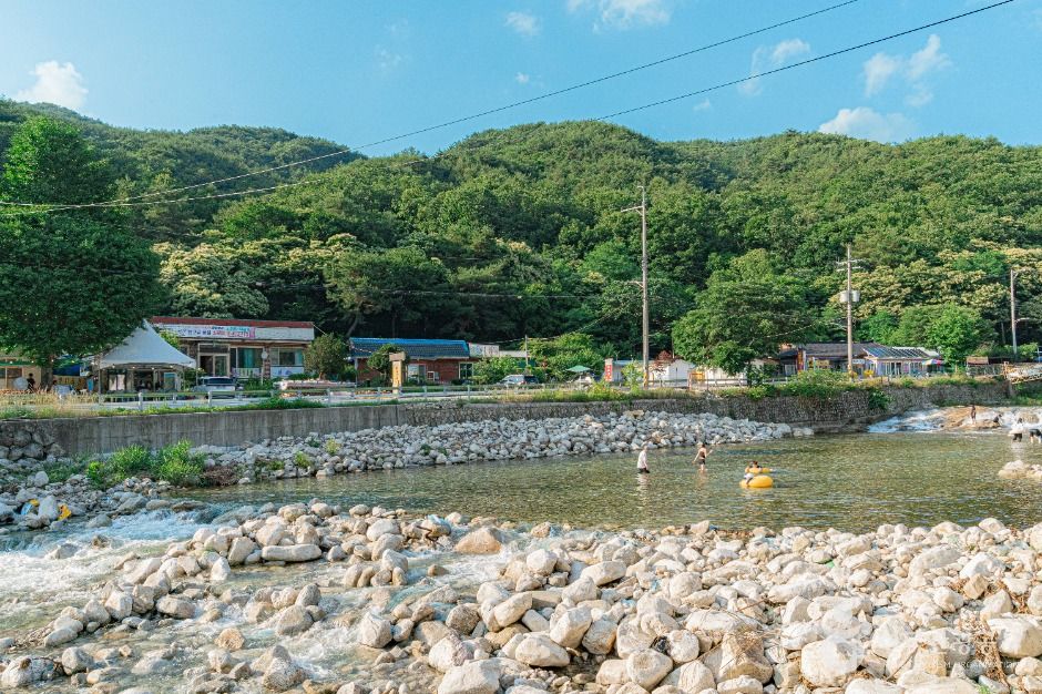 갤러리 사진 9
