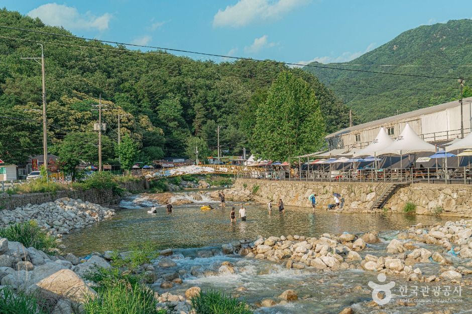 갤러리 사진 10