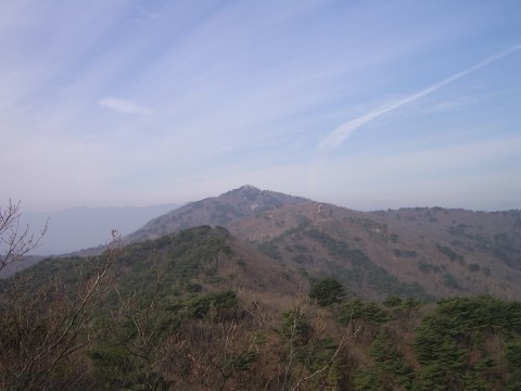 갤러리 사진 38