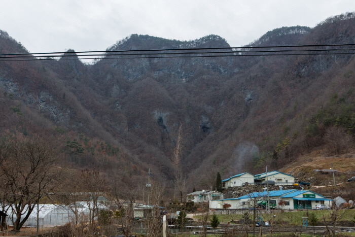 갤러리 사진 14