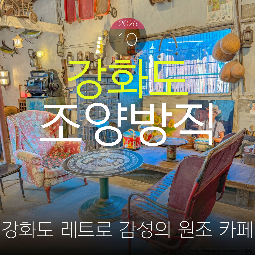 갤러리 사진 20