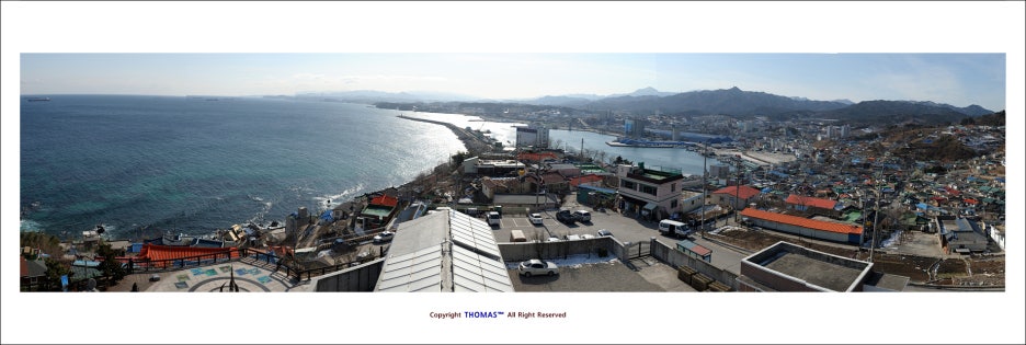 서천 신성리 갈대밭