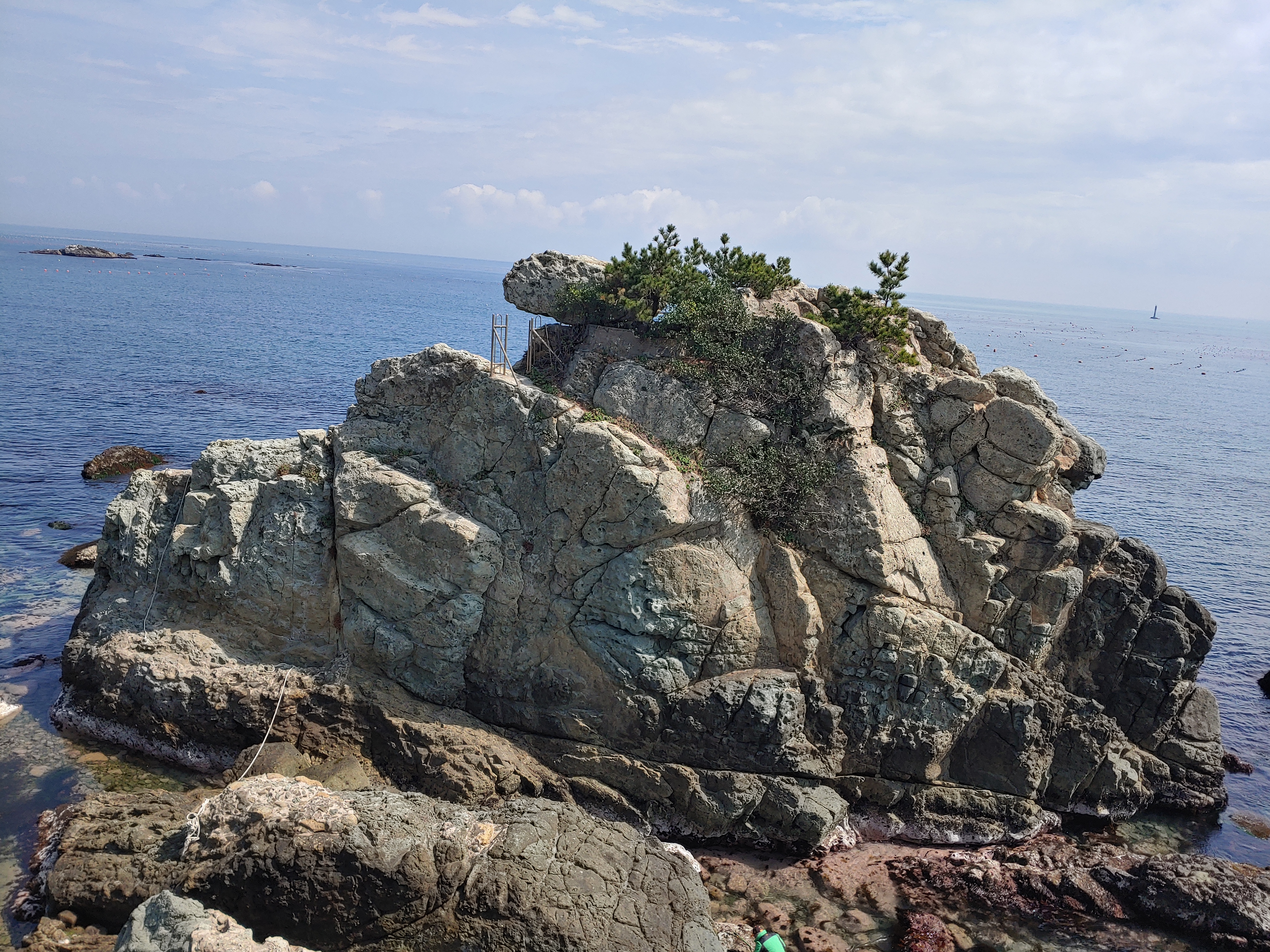 해운대 동백섬