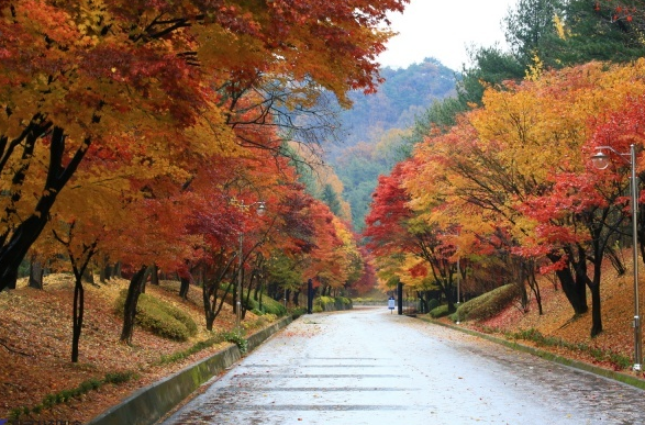 장소 이미지