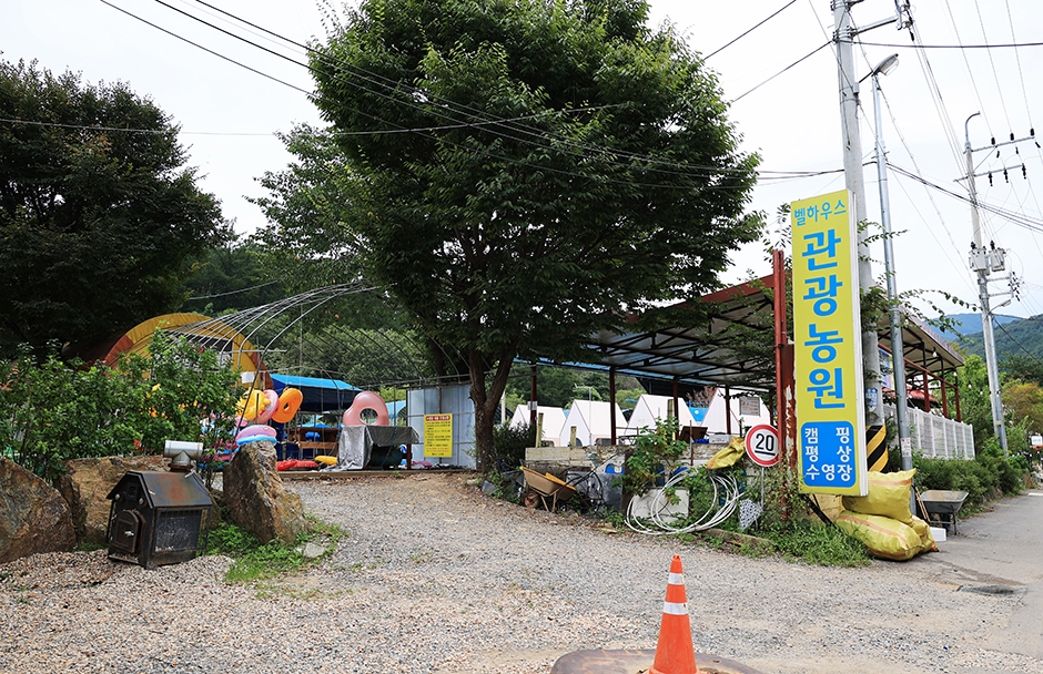 갤러리 사진 42