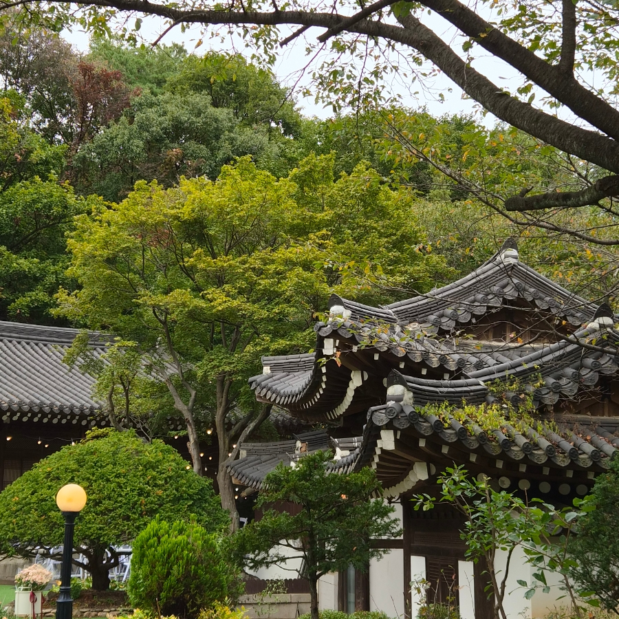 호암미술관&희원