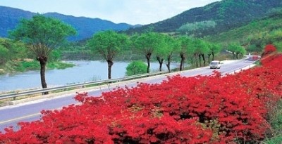 옥천 정지용 문학관