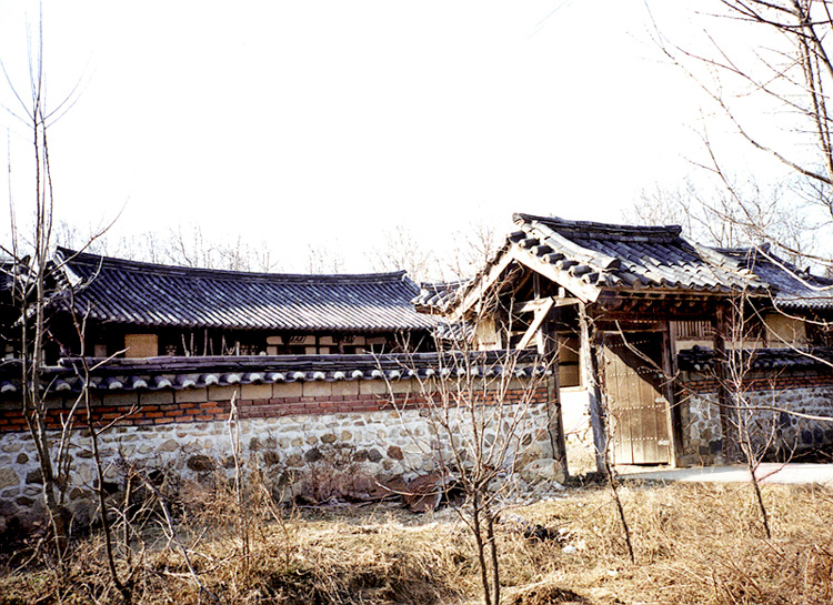 갤러리 사진 7