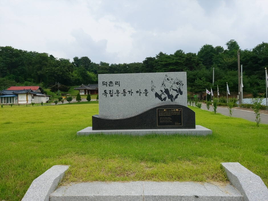 갤러리 사진 8