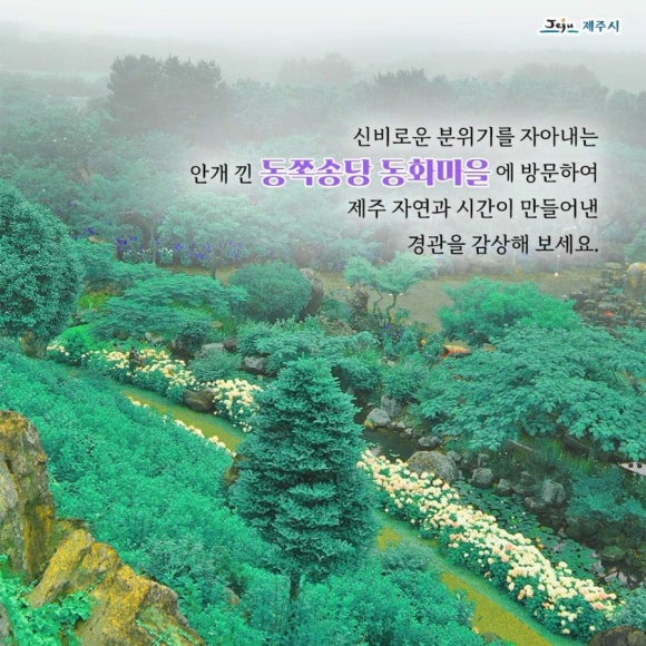 장소 이미지