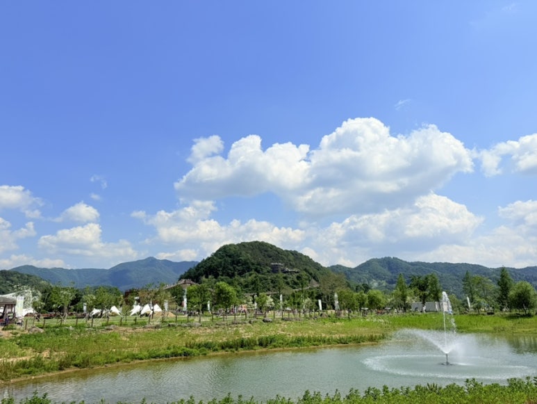 갤러리 사진 12