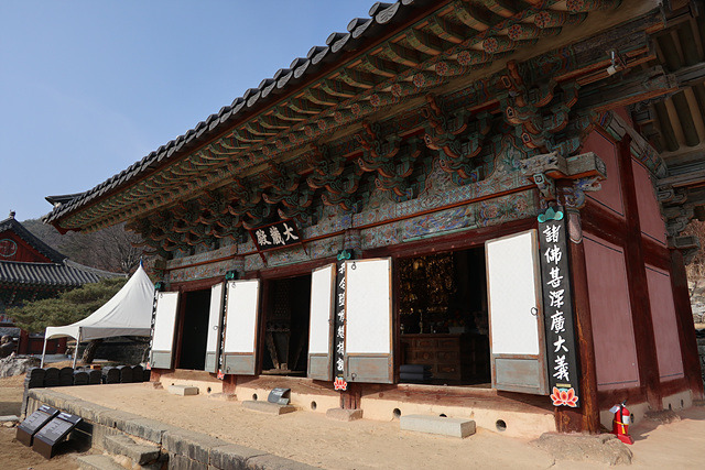 갤러리 사진 9