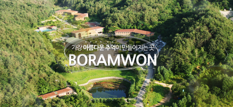 갤러리 사진 41