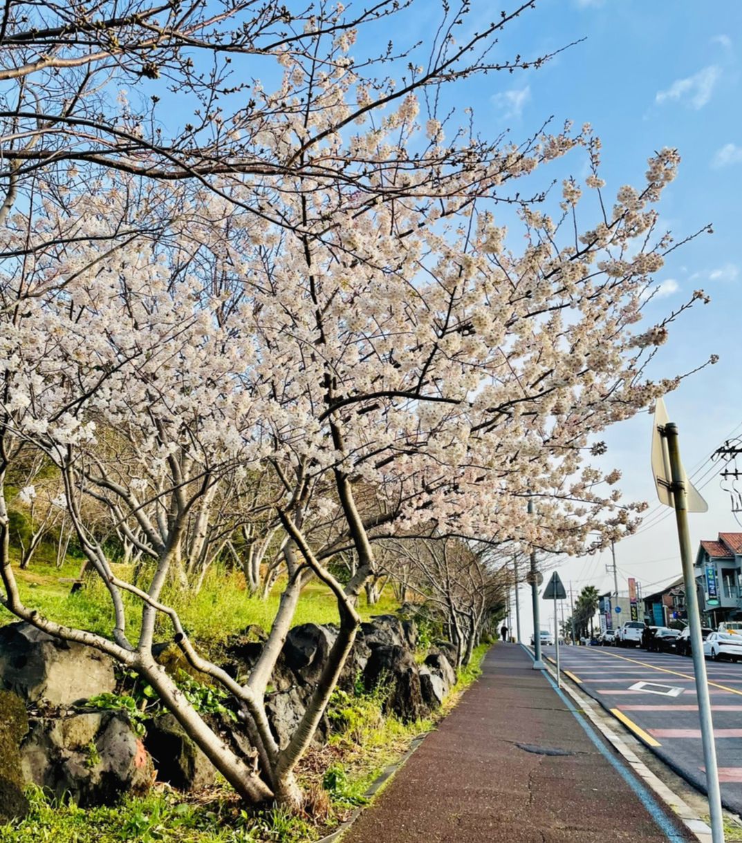 장소 이미지