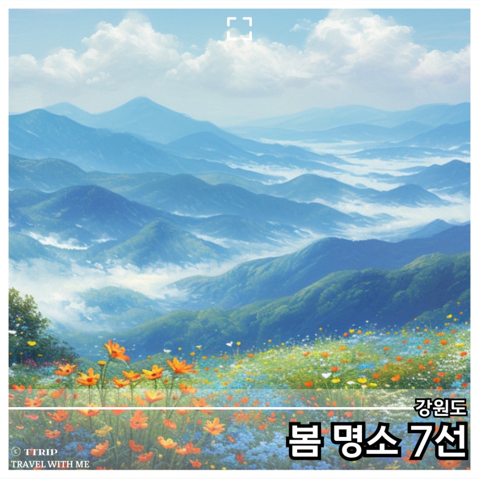 솔향수목원