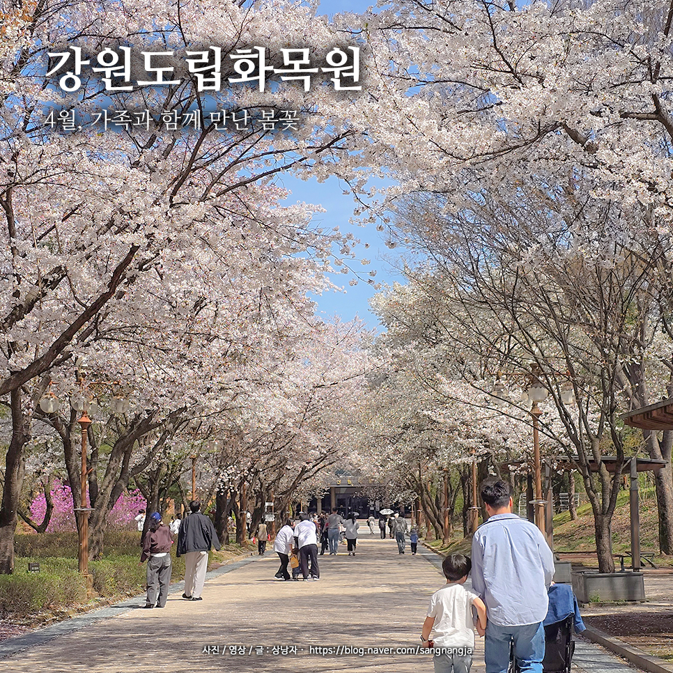 강원도립화목원