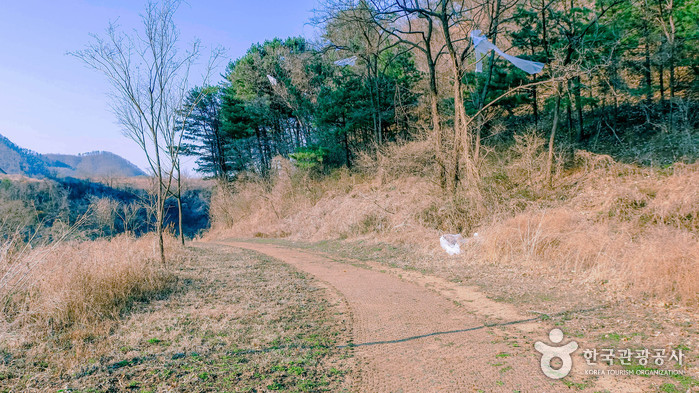 장소 이미지