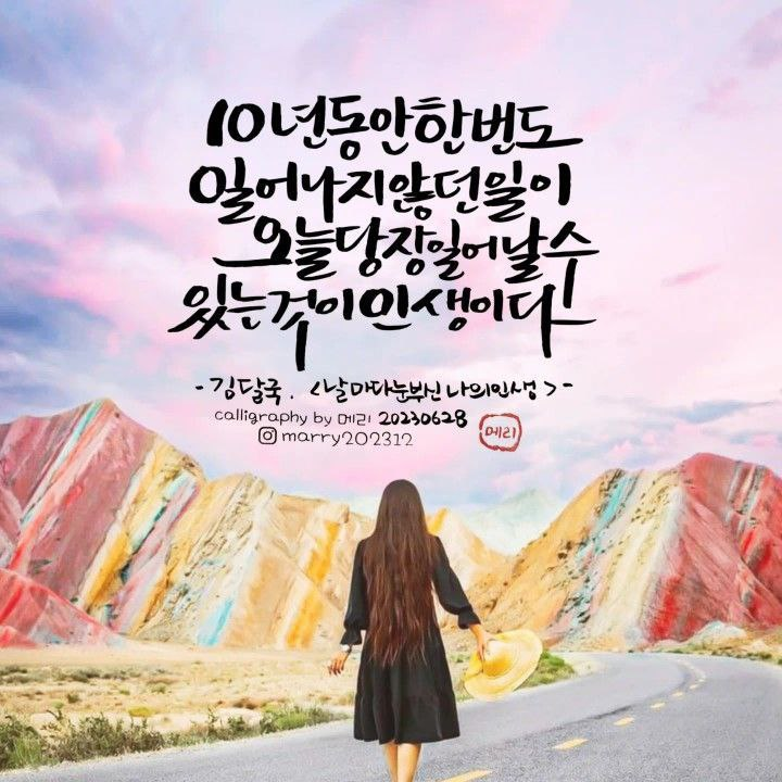 갤러리 사진 14