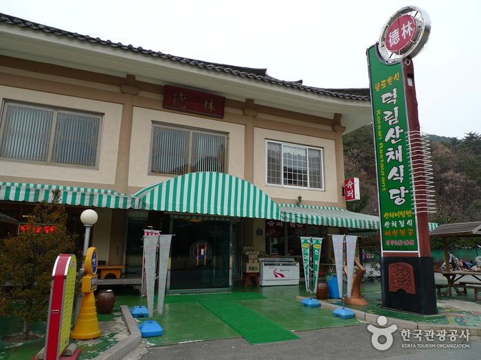 갤러리 사진 15