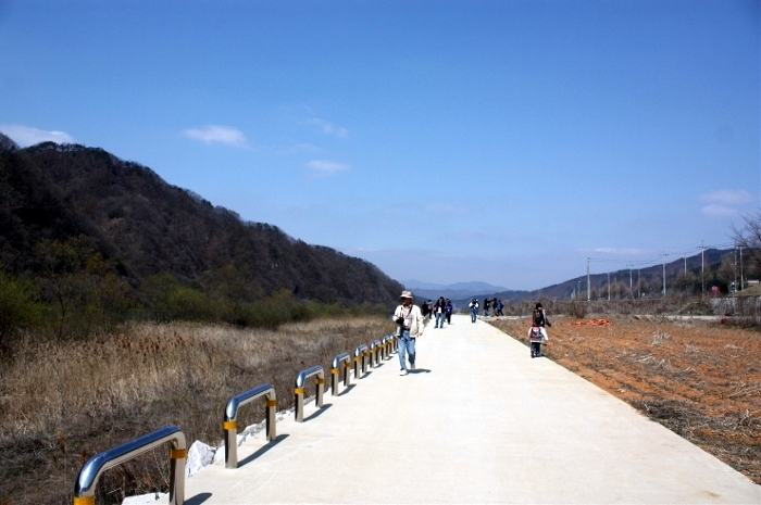 갤러리 사진 8
