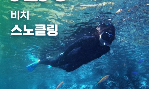장소 이미지
