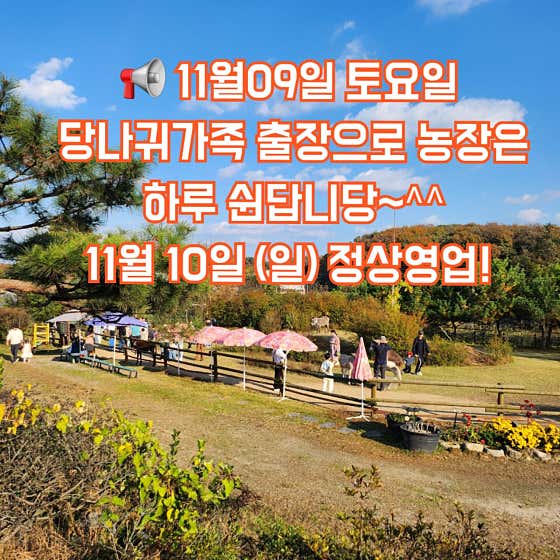 갤러리 사진 9