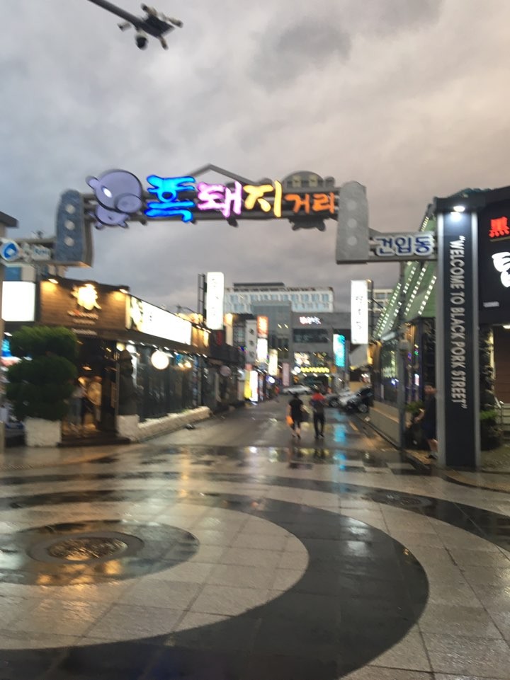 갤러리 사진 12