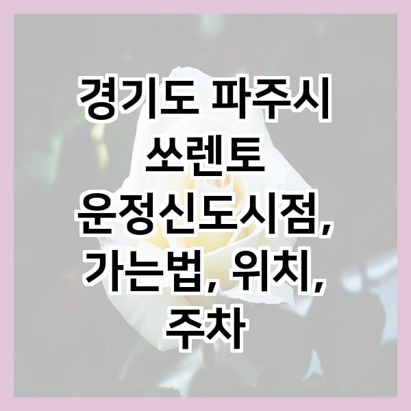 갤러리 사진 84