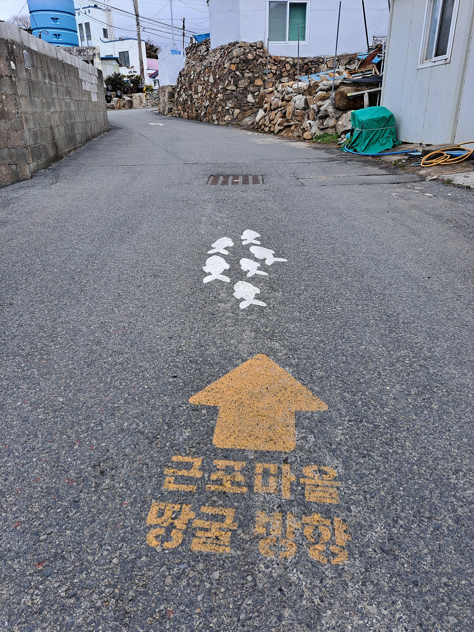 갤러리 사진 7