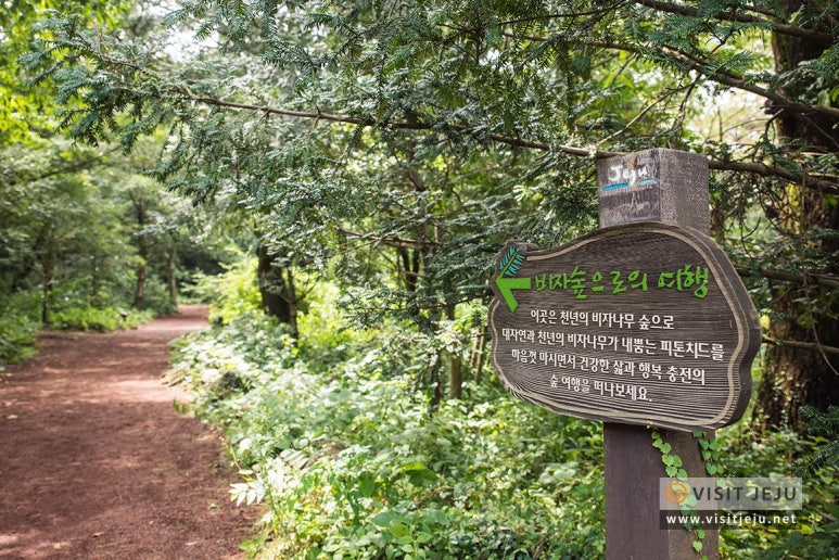 안내 사진