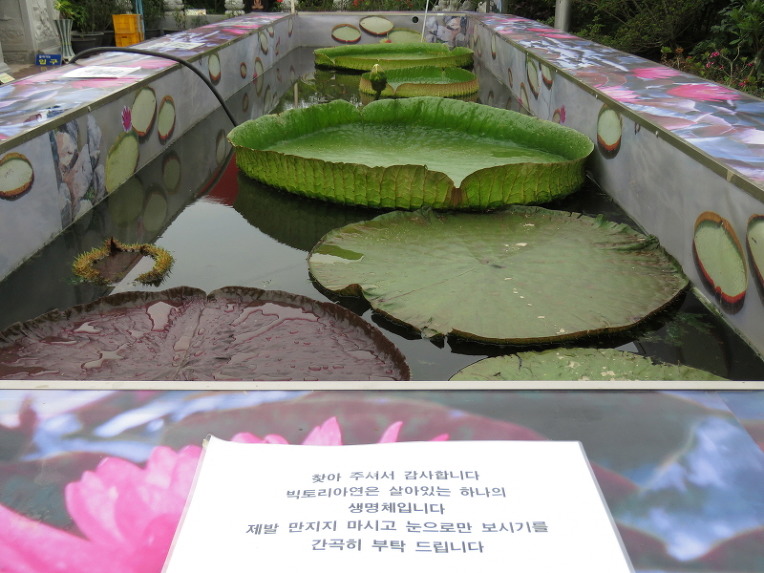 장소 이미지