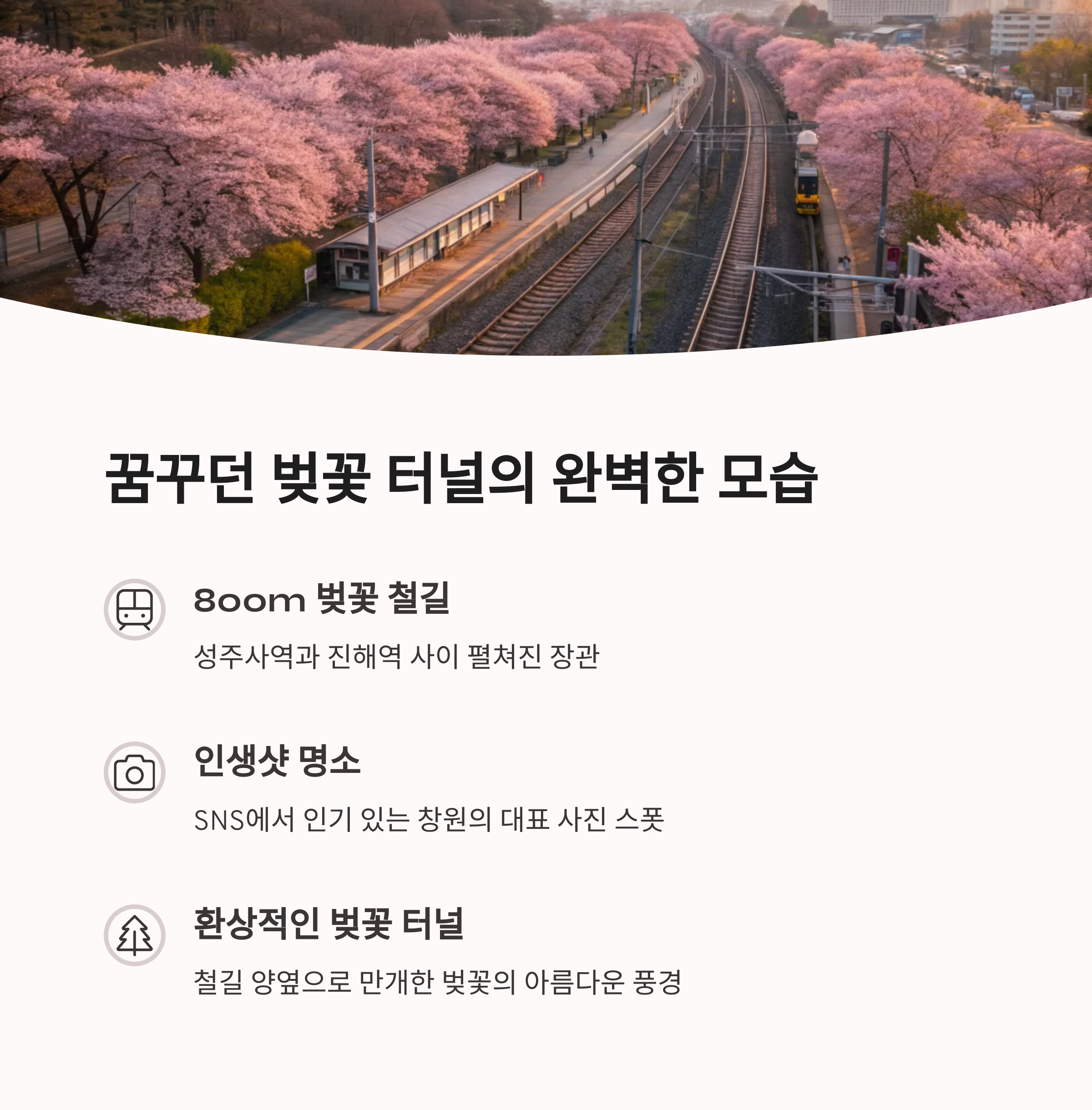 장소 이미지