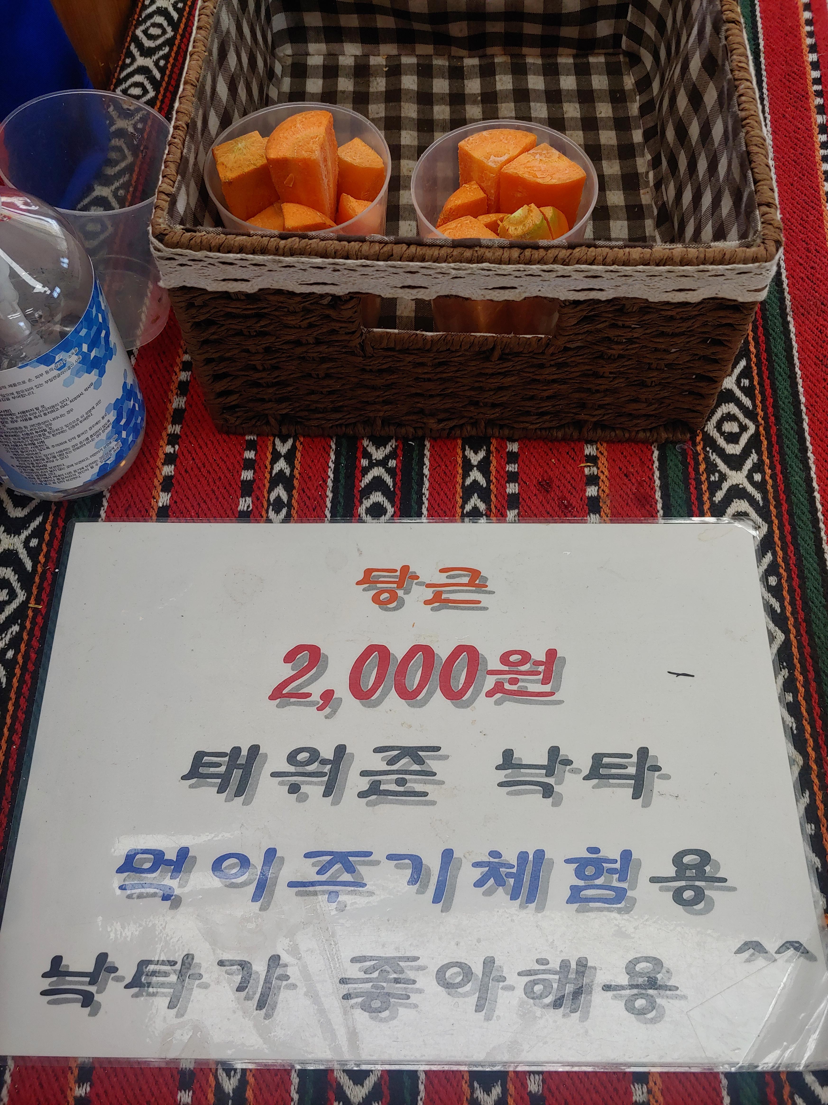 갤러리 사진 10
