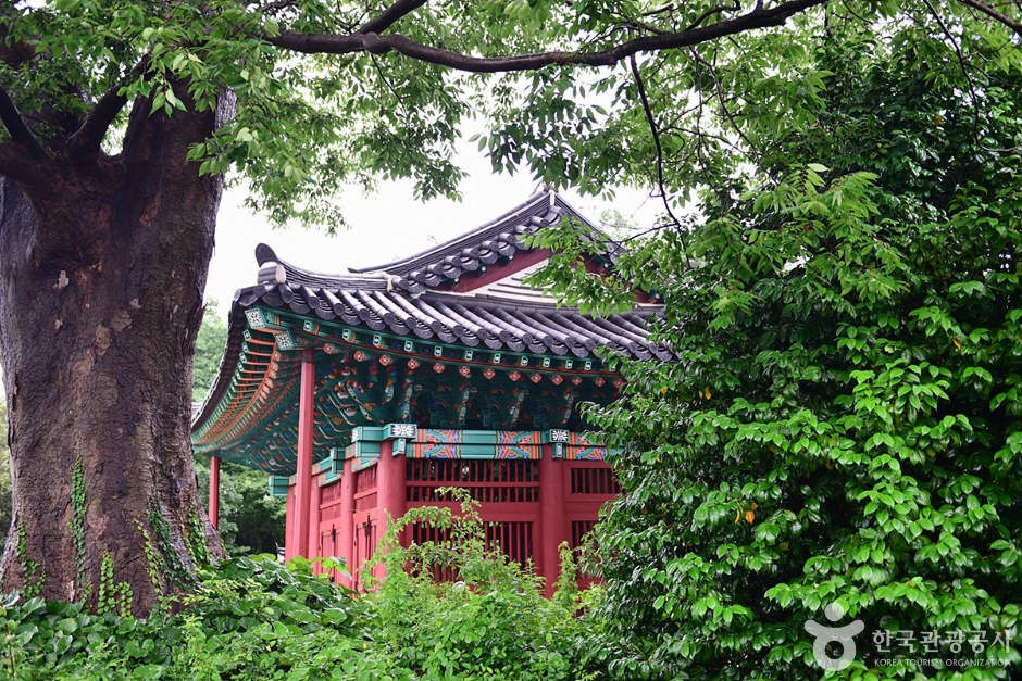 갤러리 사진 12