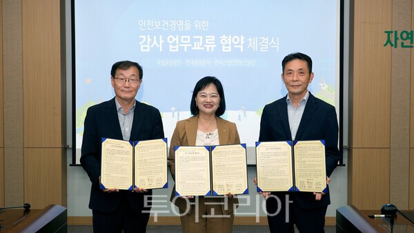 반딧불 투어